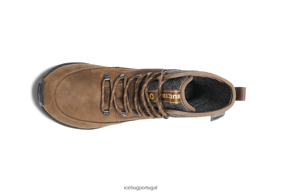 calçados BH2FVB47 mulheres Icebug adak rewool michelin café/cinza